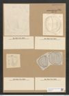 Campylodiscus samoensis Grun. (de-Toni-Nr.: Genus 57, Species 2427) Zeichnungen Sammlung Grunow Nr. 4884 (NHMW-BOT-W0373076)